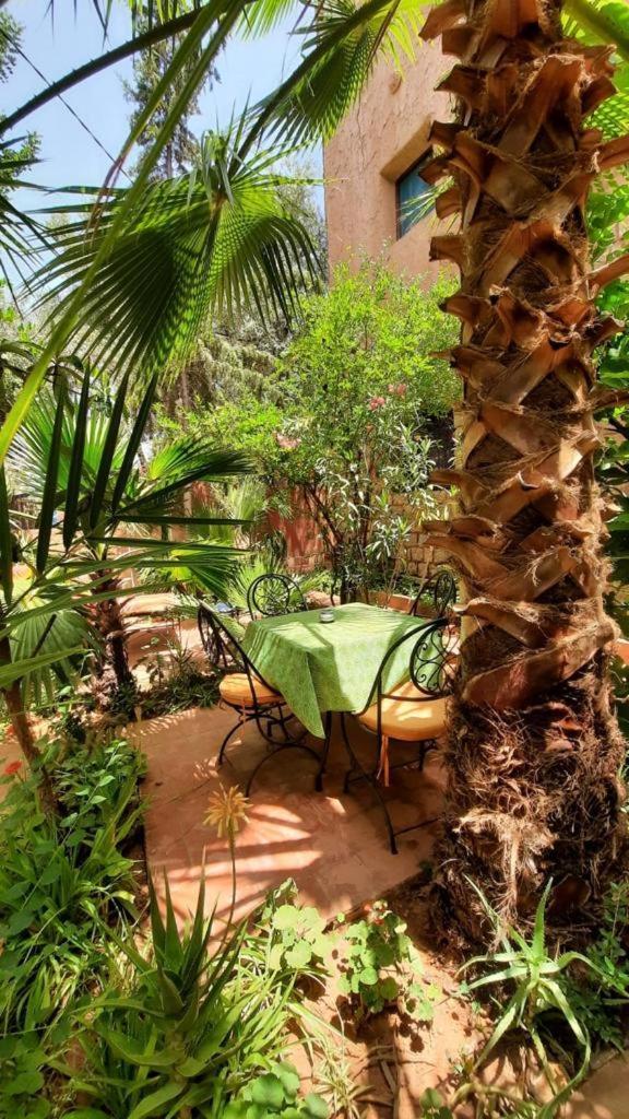 Hotel Dar Ouzoud Vegan Pokoj fotografie