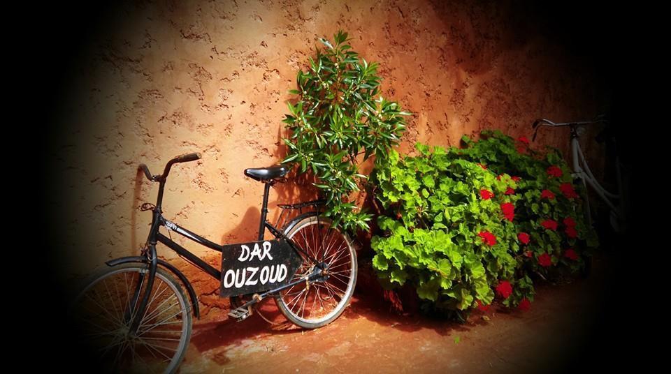 Hotel Dar Ouzoud Vegan Exteriér fotografie